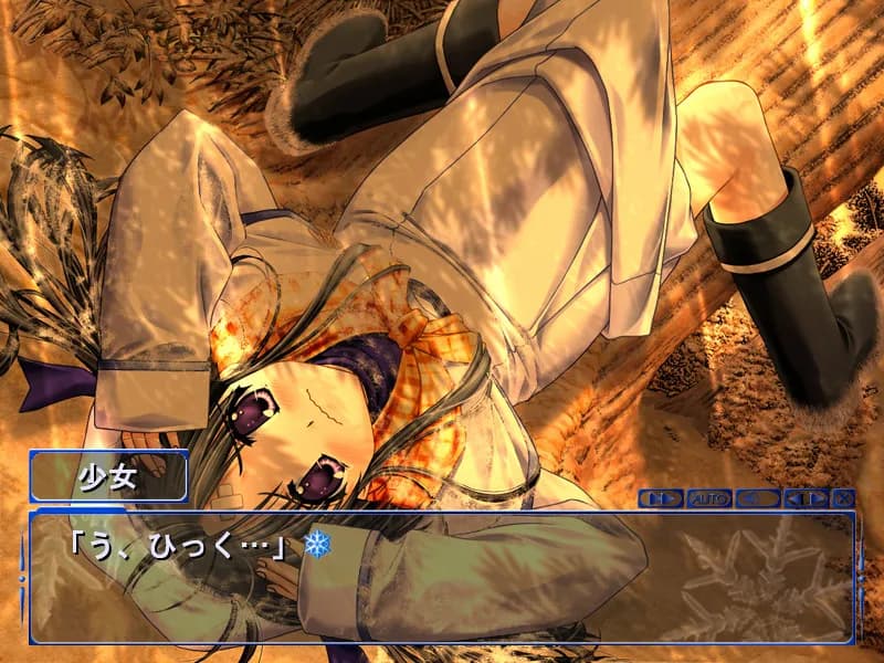 https://images.yurari.moe/galgame/11525/chvctenf_20.webp