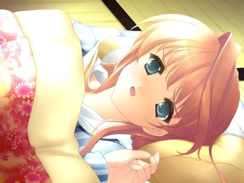 https://images.yurari.moe/galgame/11730/cs1vh3uz_20.webp