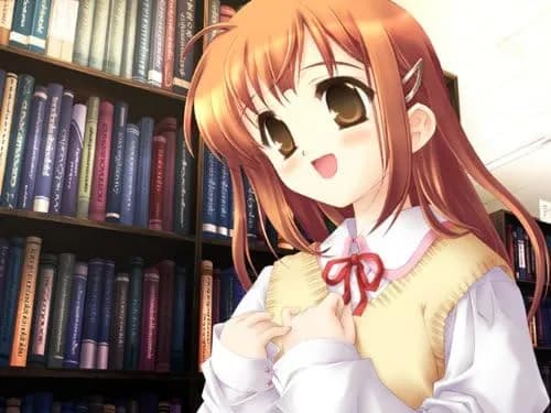 https://images.yurari.moe/galgame/11730/lbfcopdr_20.webp