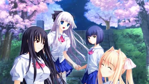 https://images.yurari.moe/galgame/11733/5x3s7d5p_20.webp