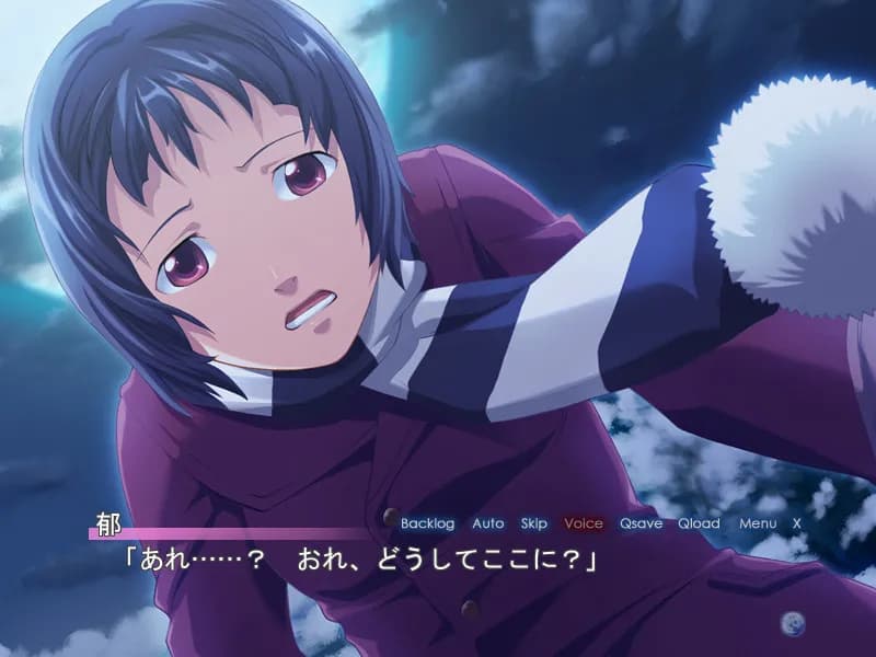 https://images.yurari.moe/galgame/11787/ib5b77tx_20.webp