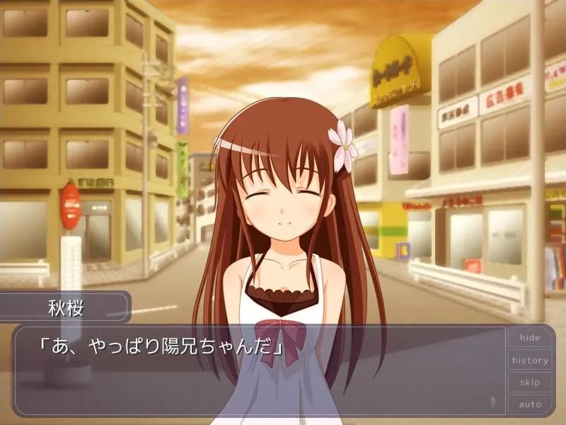 https://images.yurari.moe/galgame/11849/1kcyvidv_20.webp