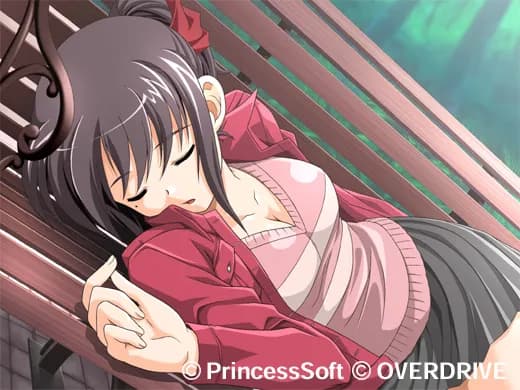 https://images.yurari.moe/galgame/12006/ap6x43l5_20.webp