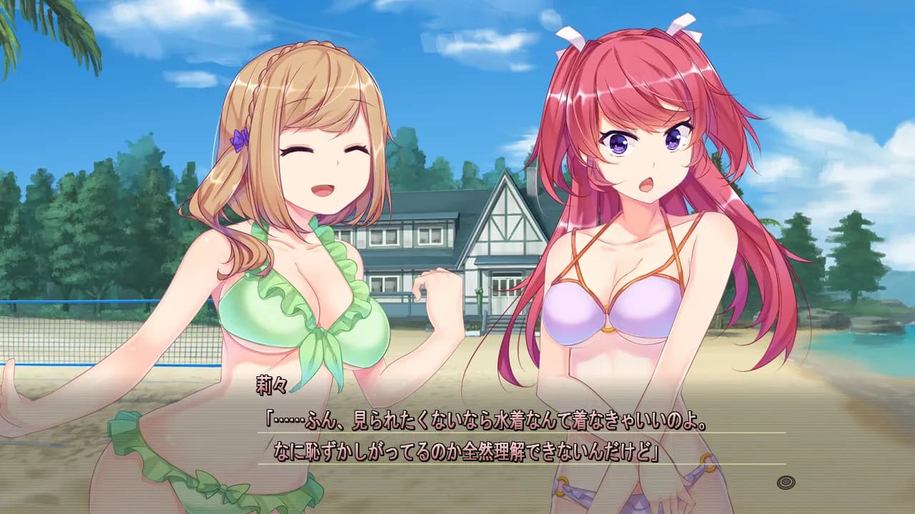 https://images.yurari.moe/galgame/12068/fksb6vo9_20.webp