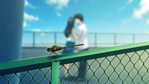 https://images.yurari.moe/galgame/12086/dao7qim1_20.webp