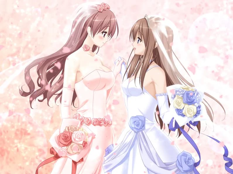 https://images.yurari.moe/galgame/12336/bj658dw0_1084.webp