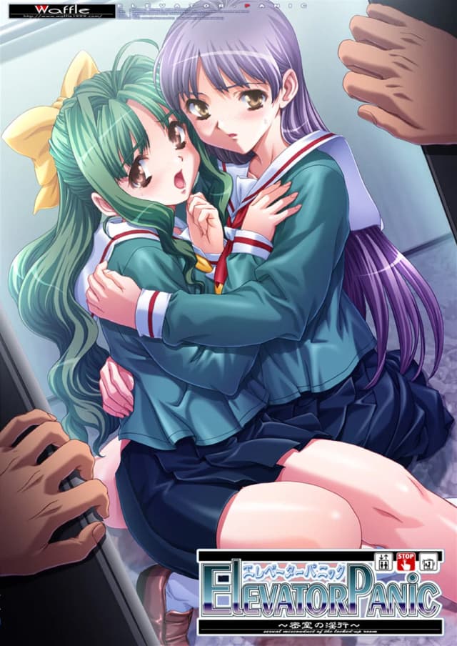 エレベーターパニック～密室の淫行～