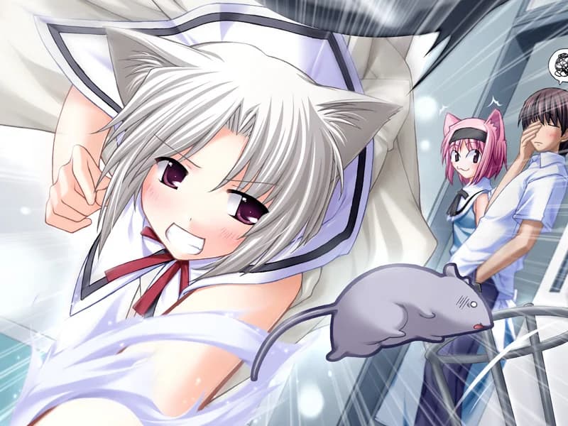 https://images.yurari.moe/images/0265f8f2-0dfa-4639-be74-0ae9ee87d750.webp