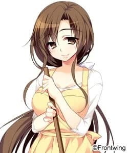 日置奏