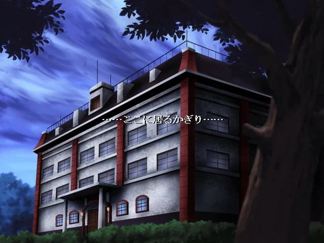 https://images.yurari.moe/images/04e847fe-33c0-4b13-919a-6c0521e559ee.webp