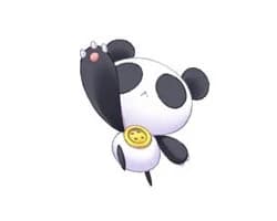 パッキー