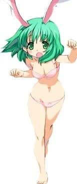 兔兔