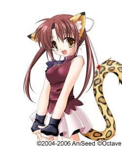 ミオ