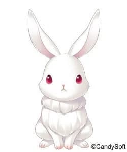 ゆき