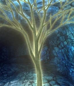 Tree of Life