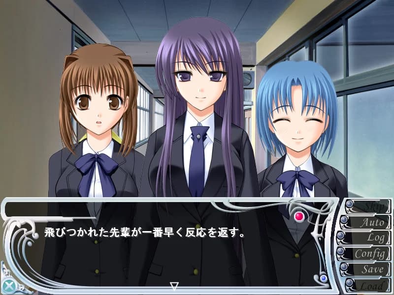 https://images.yurari.moe/images/0d9e94ca-82d8-491d-b476-953239f4710e.webp