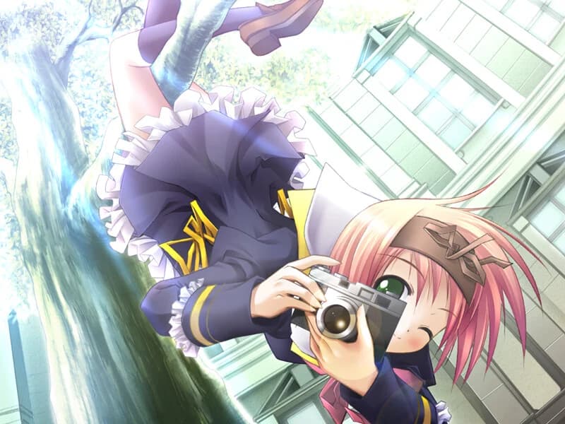 https://images.yurari.moe/images/14aa655d-c96b-4eed-bdee-87dc4414ee8c.webp