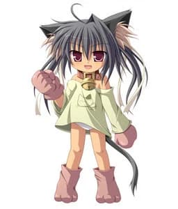 ねこんぬ