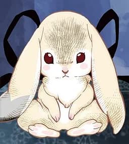 兔子