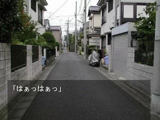 https://images.yurari.moe/images/1c574487-2afe-4499-8908-efa2125971b9.webp