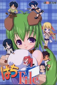 ぱちFile