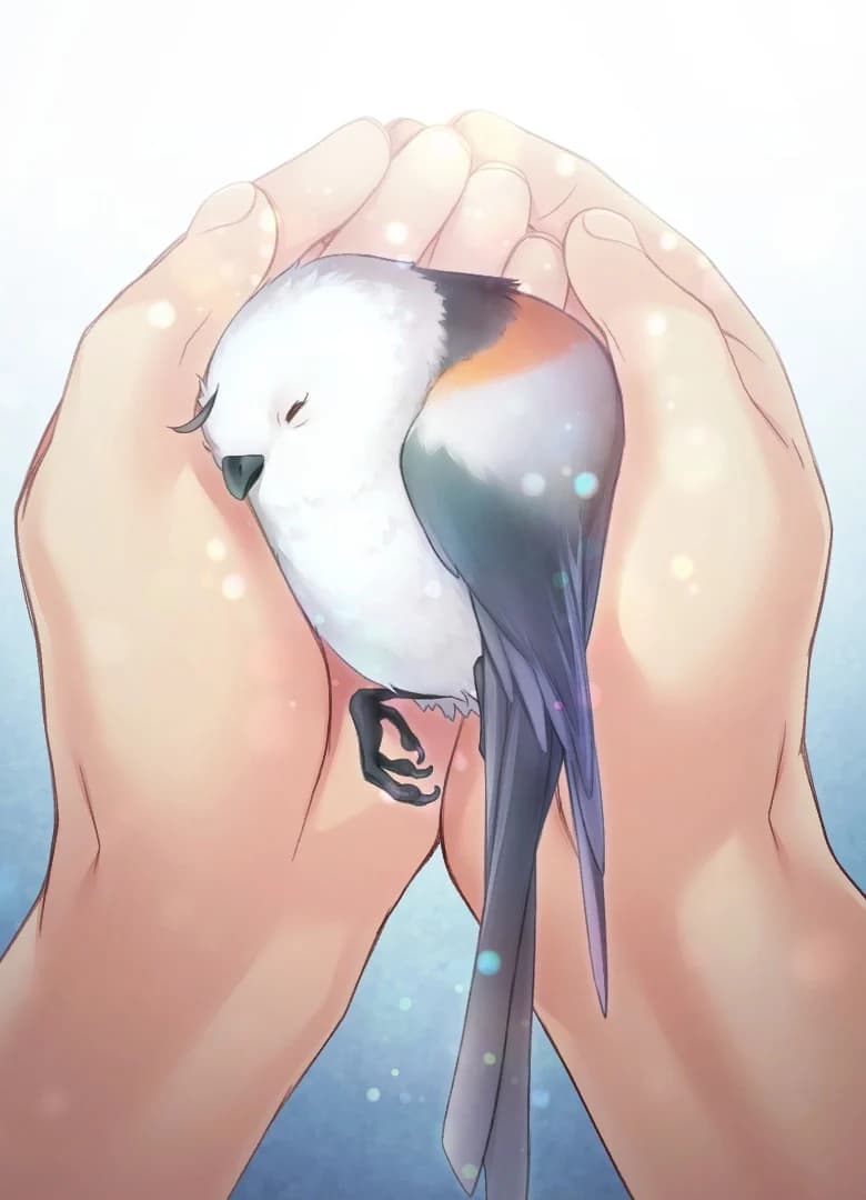 ピリカ