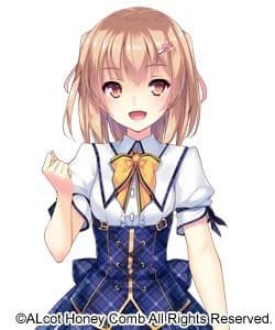 仁科 十花