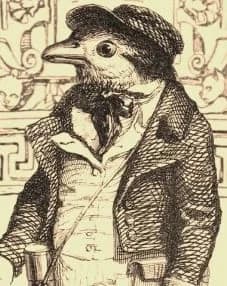 Robittio Robinio