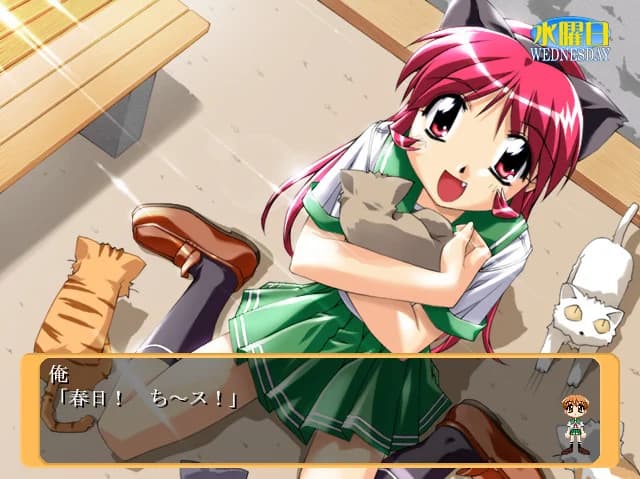 https://images.yurari.moe/images/2b0d4856-08d3-4e3b-8114-1962779f3c11.webp