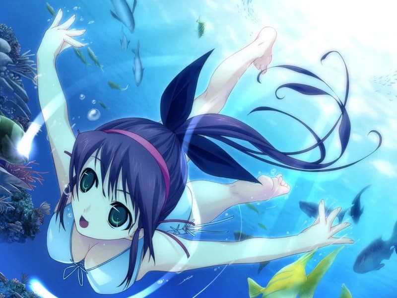https://images.yurari.moe/images/2bbb3bd7-7dc2-4f5a-869c-841763abab3b.webp
