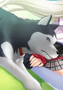 ストレルカ