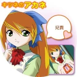 キツネのアカネ
