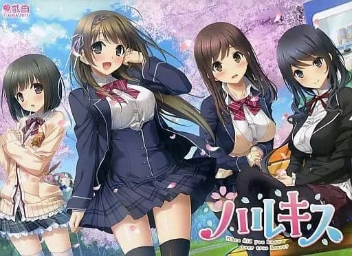 ハルキス