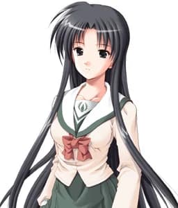 Sakaki Tsukasa