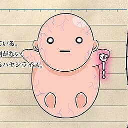 石榴 実