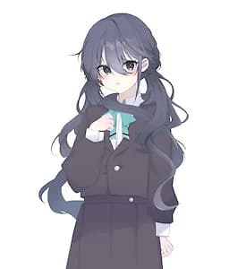 안소미