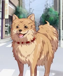 サンダー