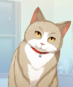 ケー太