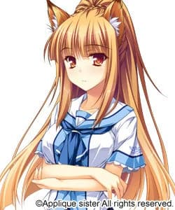 深山 紺