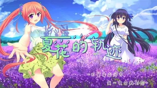 夏花的轨迹——A summer promise to forever
