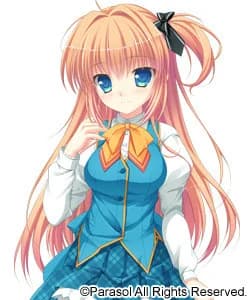桜浦 紗枝