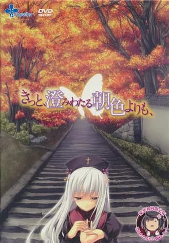 从晴朗的朝色泛起之际开始
