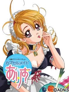 カプセルメイドありす