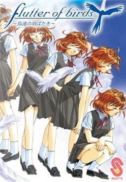 flutter of birds ～鳥達の羽ばたき～