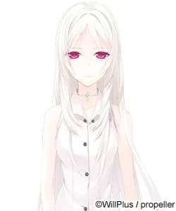 Ibis