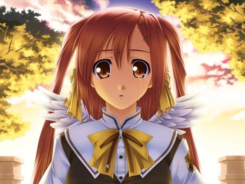https://images.yurari.moe/images/4a222226-65c0-42d0-ab36-66d8143c120c.webp