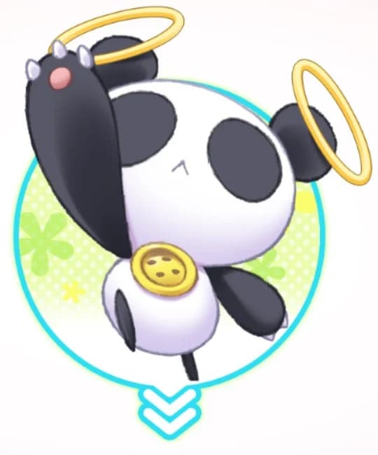 帕奇