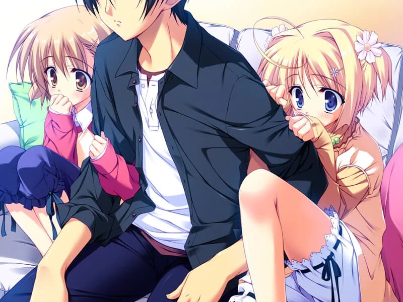 https://images.yurari.moe/images/4cab8bb2-2342-4fd7-9dd5-801c56ae1969.webp