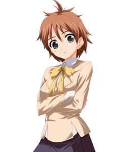 Tosa Mizuki