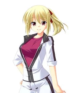 Cindy Helianthus